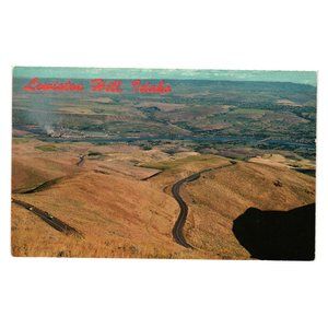 Vintage Postcard Lewiston Hill Idaho Clearwater River Orchards Potlach Forrest